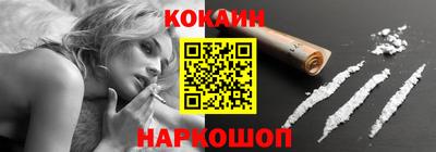 индика Кингисепп