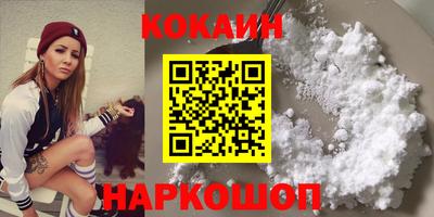 индика Кингисепп
