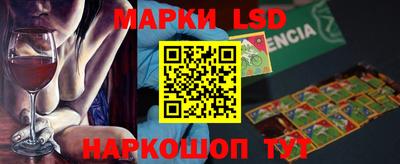 индика Кингисепп