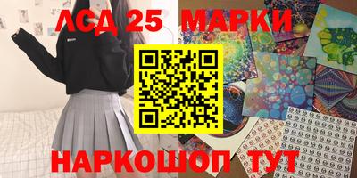 индика Кингисепп