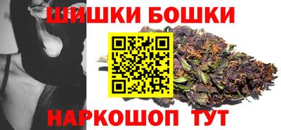 индика Кингисепп