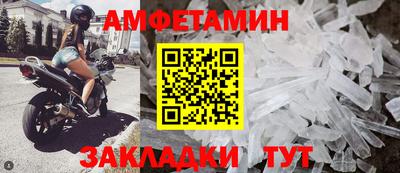 индика Кингисепп