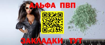 индика Кингисепп