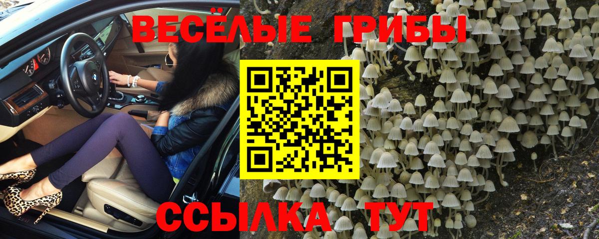 Галлюциногенные грибы мицелий Красногорск